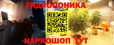 Альфа ПВП Кунгур