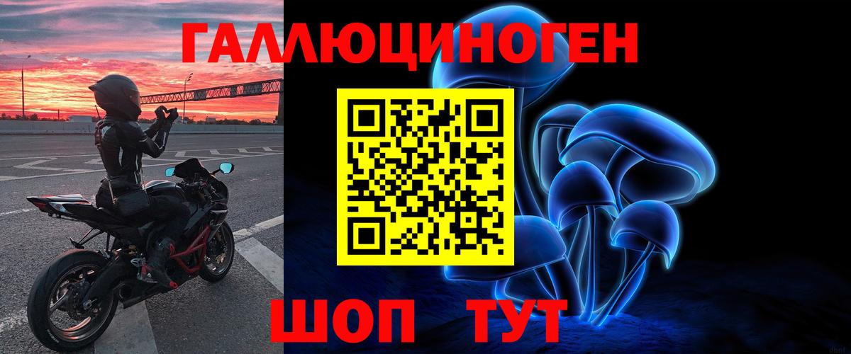 Черногорск  Галлюциногенные грибы GOLDEN TEACHER  сколько стоит  Вход с VPN 